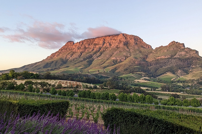 Contact Dr JJ Serfontein | stellenbosch