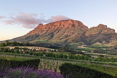 Contact Dr JJ Serfontein | Stellenbosch