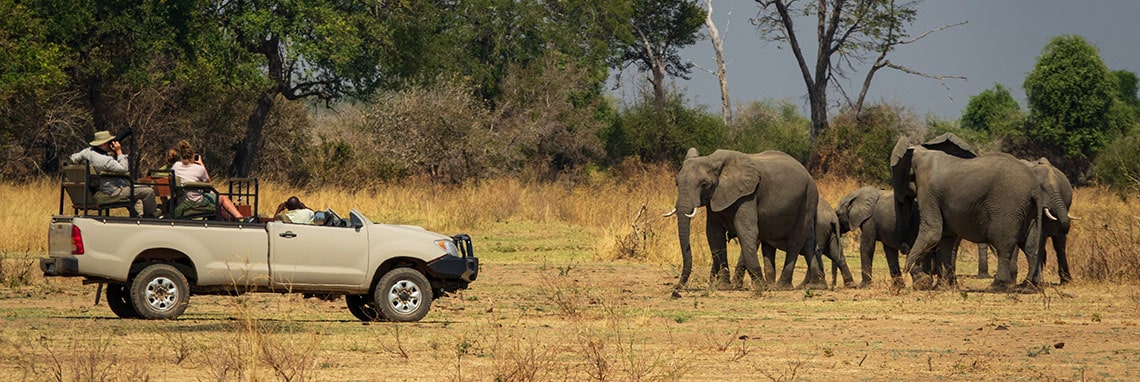 Garden Route Safari | JJS Dentistry